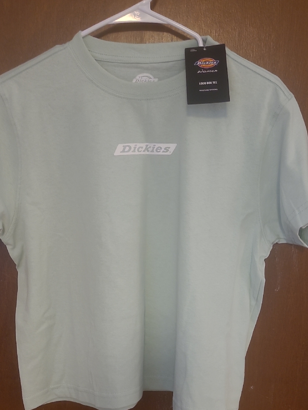 Dickies Short Sleeve Logo Tee in Mint